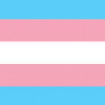 New Zealand’s transgender health body supports AusPATH position